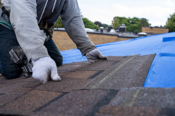 Best Sealant for Roof  in Redwood Valley, CA